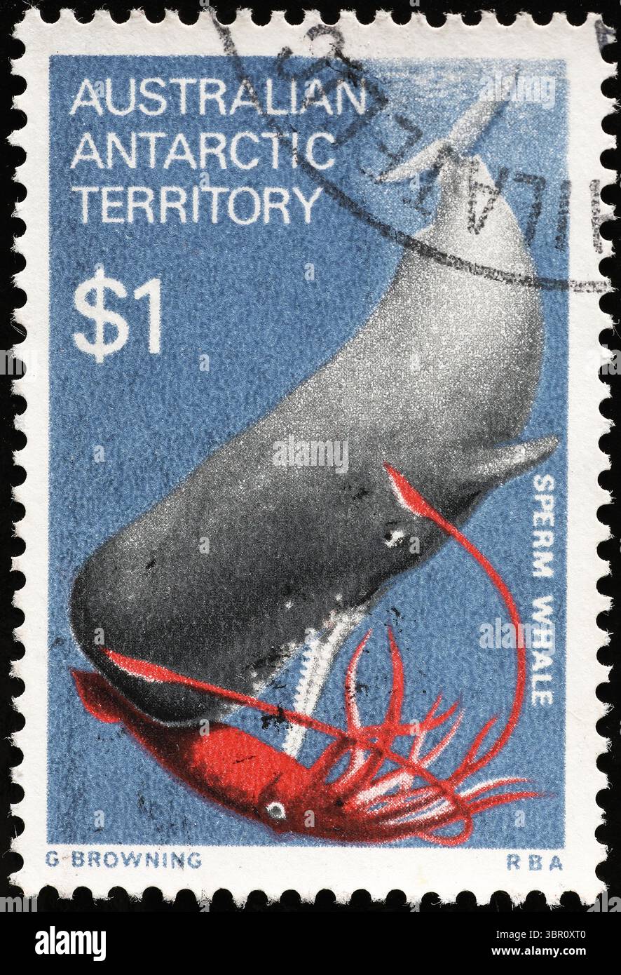 Cachalot chassant un calmar géant sur un timbre-poste australien Banque D'Images