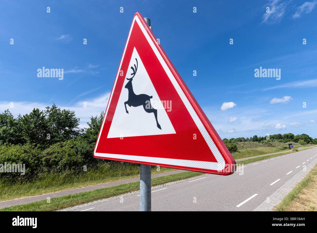 Panneau de route néerlandais : passage des animaux sauvages Banque D'Images