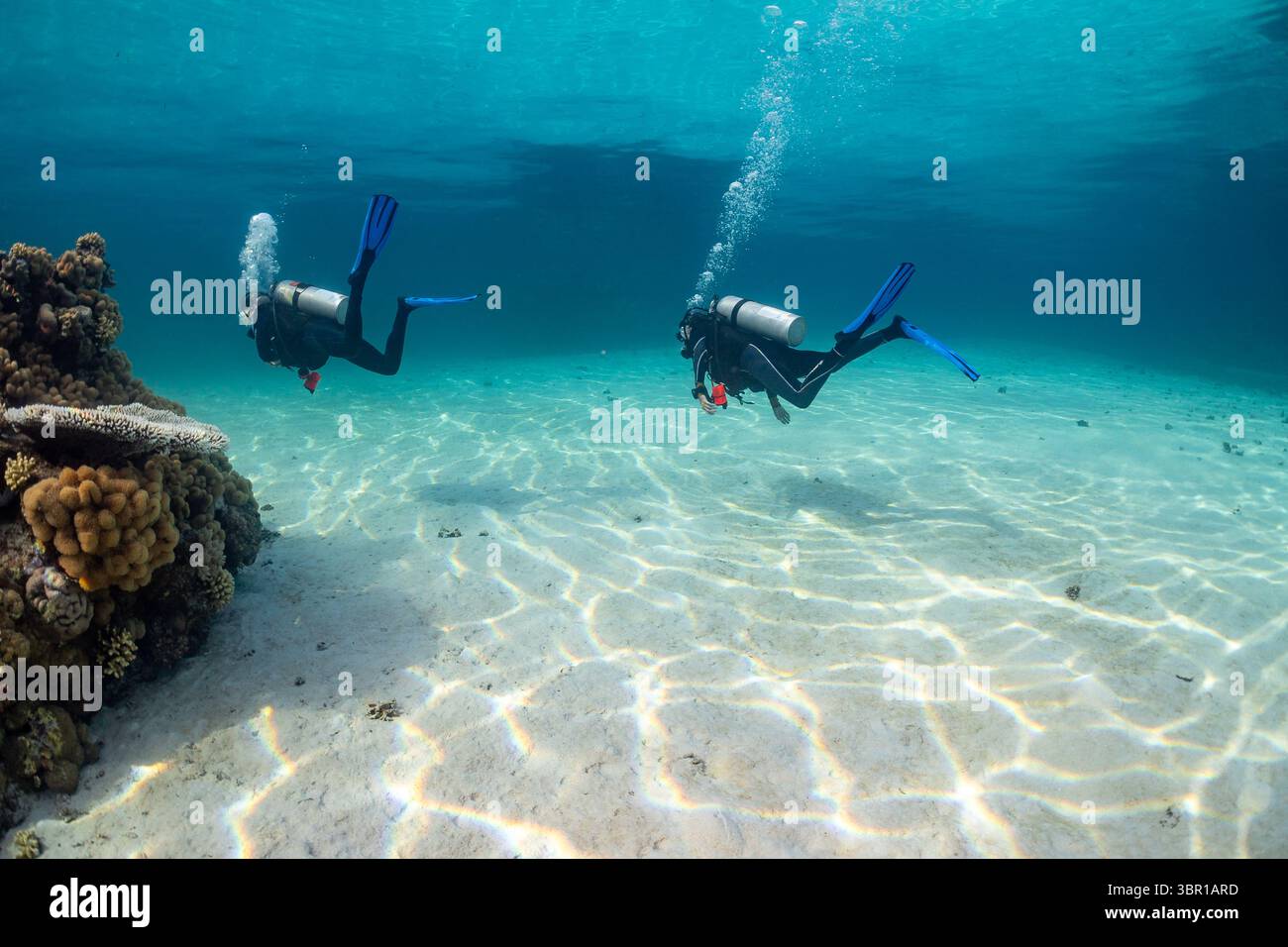 Deux plongeurs explorent un bord sablonneux de récif corallien peu profond sous l'eau. Banque D'Images Deux plongeurs explorent un bord sablonneux de récif corallien peu profond sous l'eau. Banque D'Images