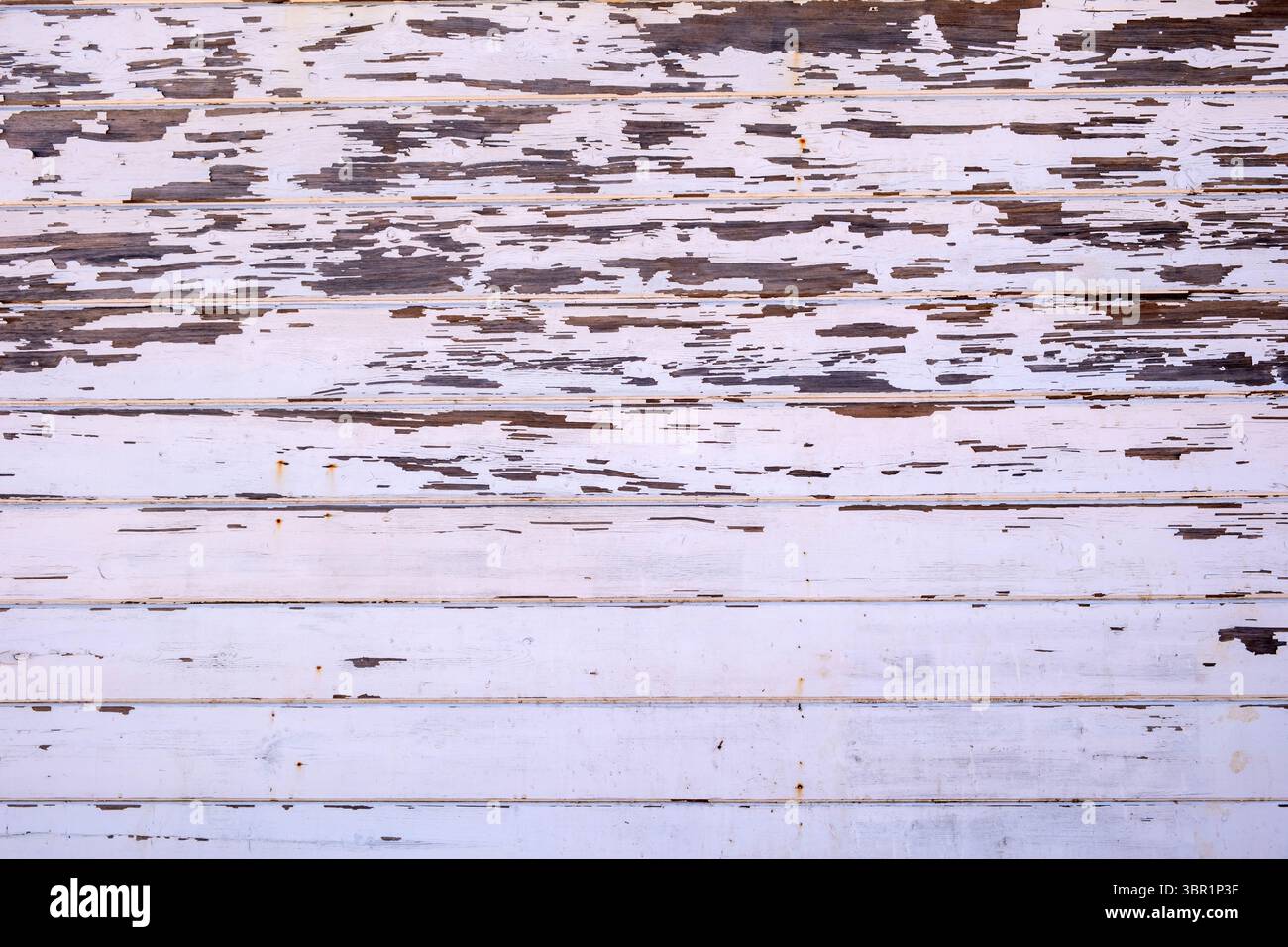 Texture peinte en blanc en bois vintage, fond, vieilles planches en bois vieilles épluchées Banque D'Images