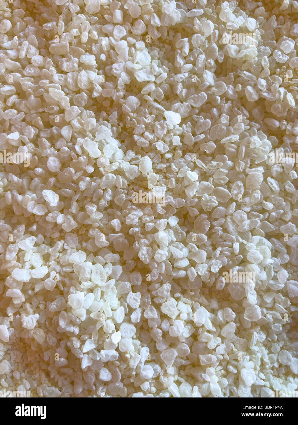 La texture de fond de gomme de mastic, les larmes de Chios ou les résines de mastiha sont des gouttelettes naturelles de la plante pistacia lentiscus Banque D'Images