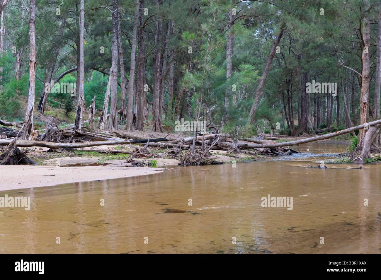 Photographie de la rivière Capertee à des niveaux très bas traversant la vallée de Capertee après des dégâts importants causés par les inondations dans le parc national de Wollemi. Banque D'Images