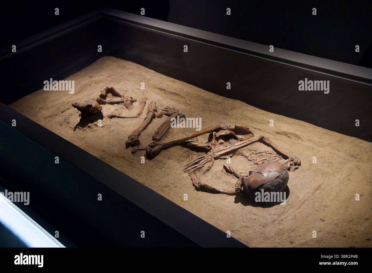 Ville de Gongju, Corée du Sud - 13 juin 2025 : une scène de sépulture préhistorique recréée montre des restes squelettiques humains positionnés dans une tombe sablonneuse à Seokjangni Banque D'Images