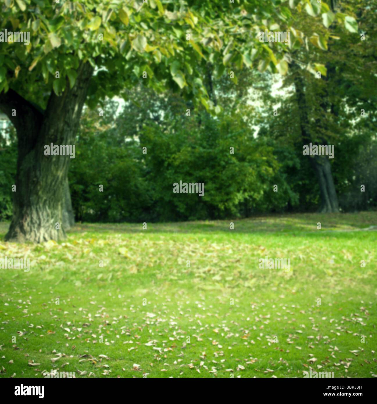 L'illustration à plat extérieure montre un tronc d'arbre au milieu d'un défrichement d'herbe avec des feuilles tombées Banque D'Images