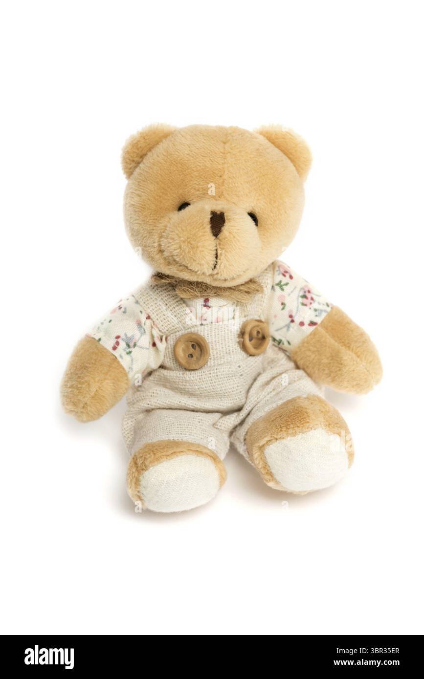 Adorable ours en peluche dans une combinaison et une chemise sur fond blanc Banque D'Images