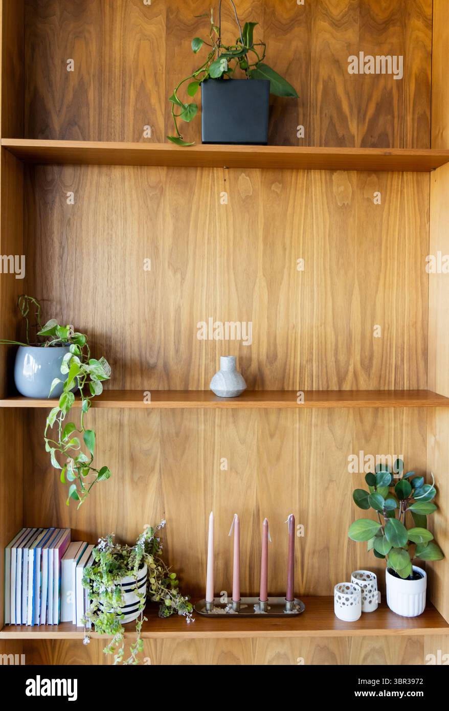 Rayonnage en bois présentant des vases, une plante de vigne traînante, des livres et des bougies sur un panneau de grain de bois Banque D'Images