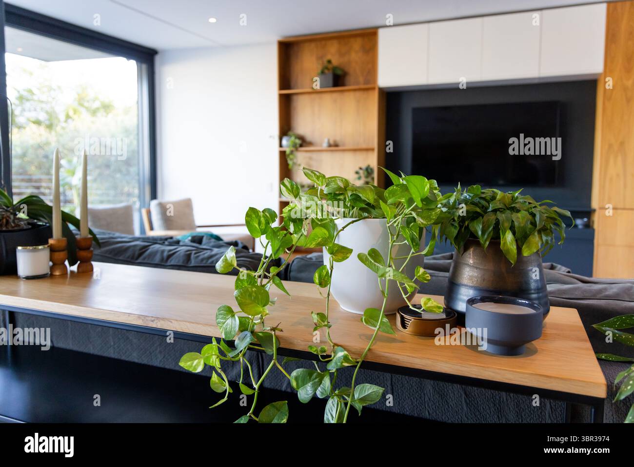 Plante de vigne traînante renversant sur pot en céramique blanche sur table en bois avec vue sur le patio de la porte coulissante Banque D'Images
