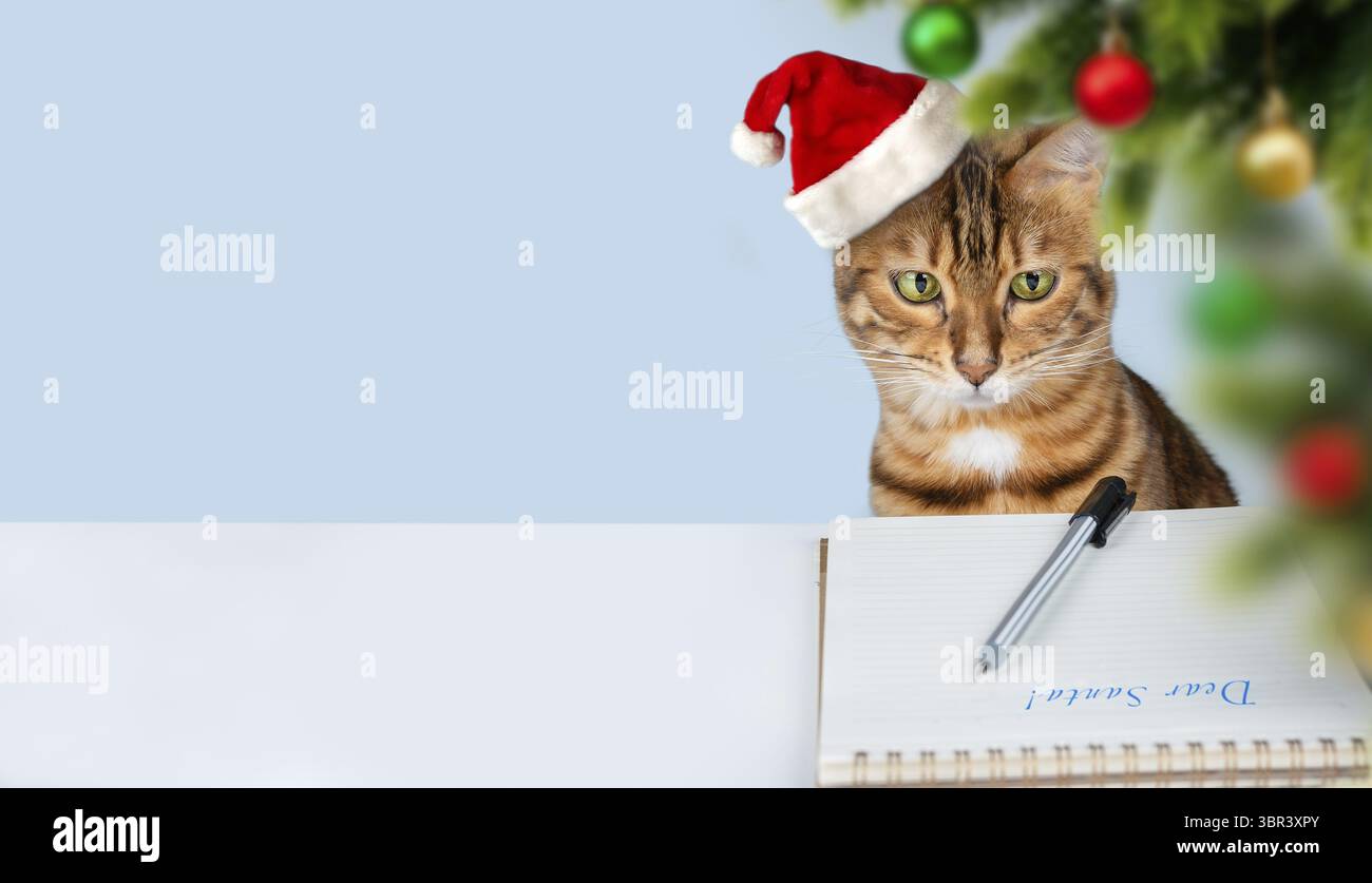 Un chat de Noël dans un chapeau de Père Noël écrit une lettre au Père Noël. Carte de voeux. Copier l'espace Banque D'Images