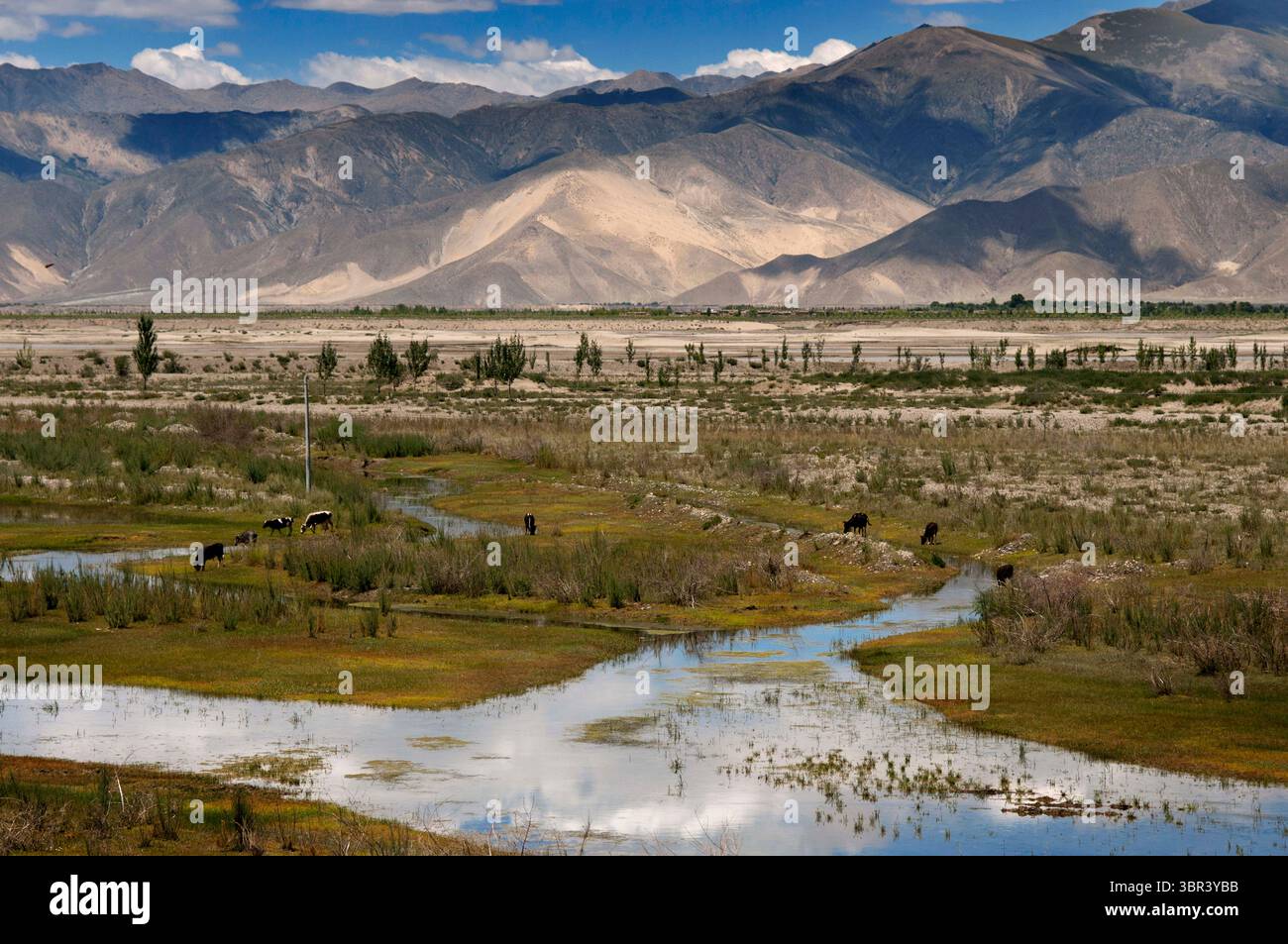25 août 2011, Rio Brahmapoutre, Tibet, Chine : village tibétain en face de champs de céréales dans la vallée du Yarlung Tsanpo, Brahmapoutre, Tibet, Chine, Asie. Vallée de la rivière Yarlung Tsangpo Brahmaputra, entre le col de Kamba et Tsetang, préfecture de Lhoka Shannan, Tibet, Chine. (Crédit image : © Sergi Reboredo/ZUMA Wire) Banque D'Images