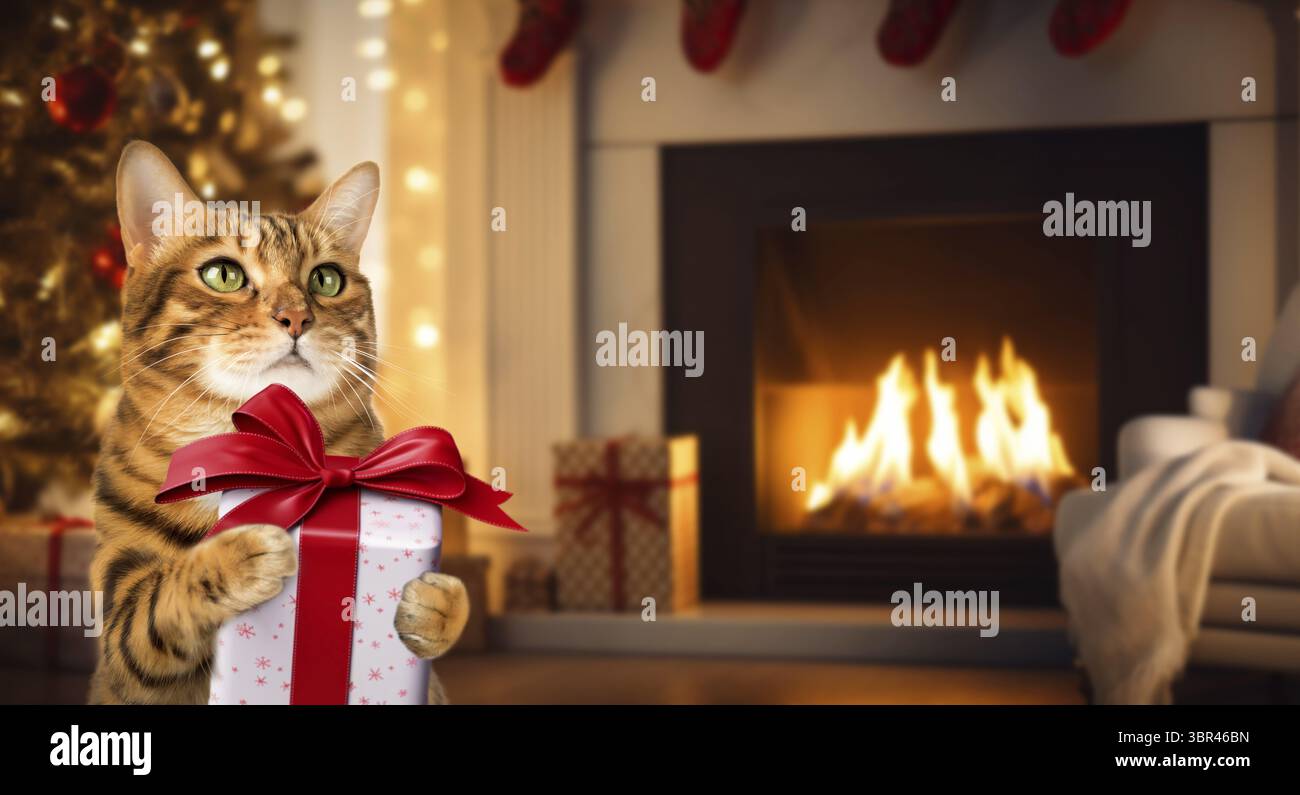 Chat heureux tenant un cadeau de Noël dans ses pattes. Chat Bengale drôle dans le fond du salon. Carte de Noël ou invitation Banque D'Images