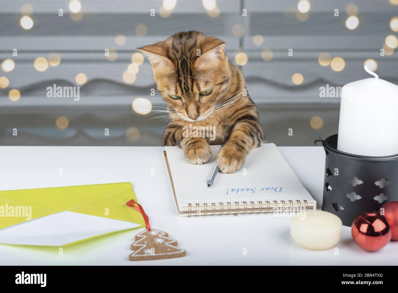 Beau fond de Noël avec des décorations de Noël, une bougie, une lettre au Père Noël et un chat Banque D'Images