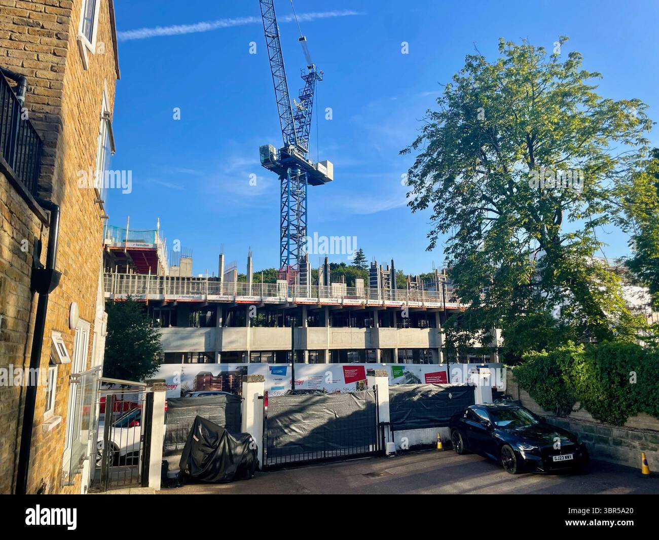 Site de construction pour le développement de maisons de cranwood dans la colline de muswell à côté du bois highgate N10 3JA avec des arbres de grue imposants et du bois highgate derrière et disparaissant Banque D'Images