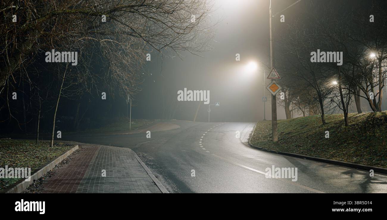 Scène de route nocturne calme avec chaussée mouillée reflétant les lampadaires sous un brouillard dense, idéale pour les visuels urbains ou noirs. Banque D'Images