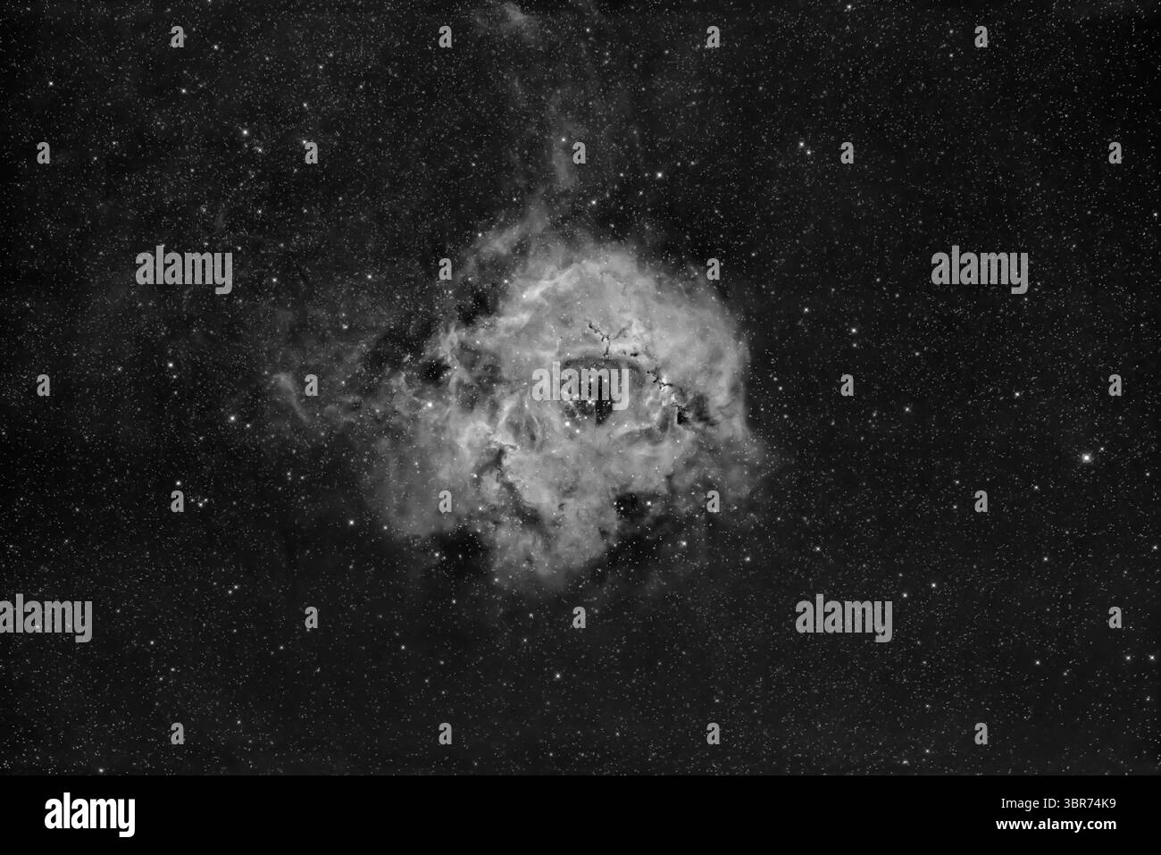 2 février 2020, Alberta, Canada : la nébuleuse de la Rosette à Monoceros, alias NGC 2237-46, plus l'amas central d'étoiles NGC 2244, pris en lumière rouge profonde seulement à travers un filtre Hydrogen-Alpha à bande étroite et rendu en monochrome. Pris en clair de lune, mais le filtre à bande étroite rend cette imagerie possible dans les cieux lumineux car la majeure partie de la lumière est rejetée par le filtre. ..il s'agit d'une pile d'expositions de 8 x 8 minutes à travers l'appareil photo Canon EOS Ra à ISO 1600 et avec le réflecteur astrographique SharpStar HNT150mm à f/2,8 et avec un filtre Ha 12nm clipsable d'Astronomik. J'ai pris les images le 2 février 202 Banque D'Images