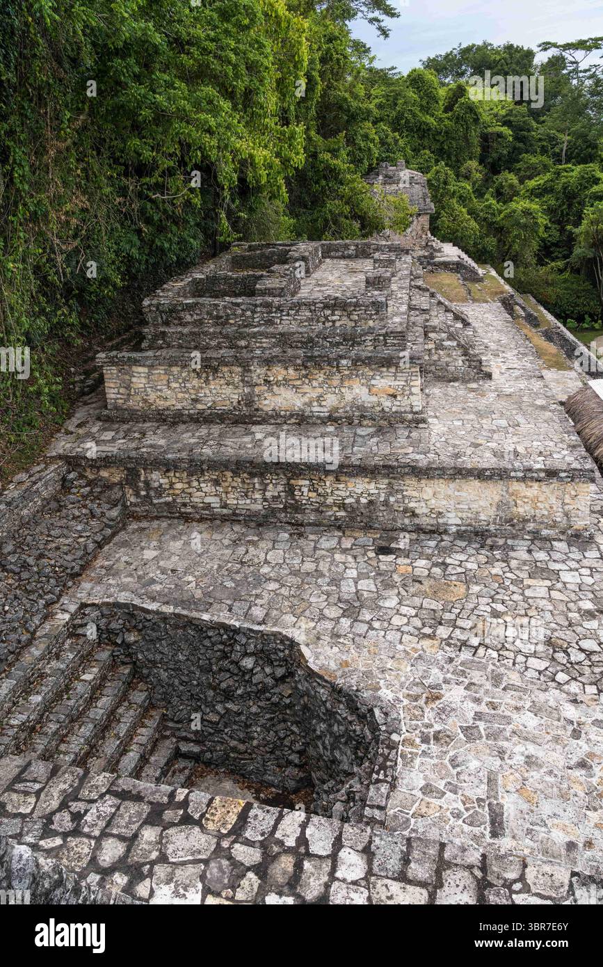 30 juillet 2018, Palenque, Chiapas, Mexique : le sommet du Temple de la Reine Rouge, ou Temple XIII, dans les ruines de la ville maya de Palenque, Parc National de Palenque, Chiapas, Mexique. Un site classé au patrimoine mondial de l'UNESCO. (Crédit image : © Jon G. Fuller, Jr/VW pics via ZUMA Wire) Banque D'Images