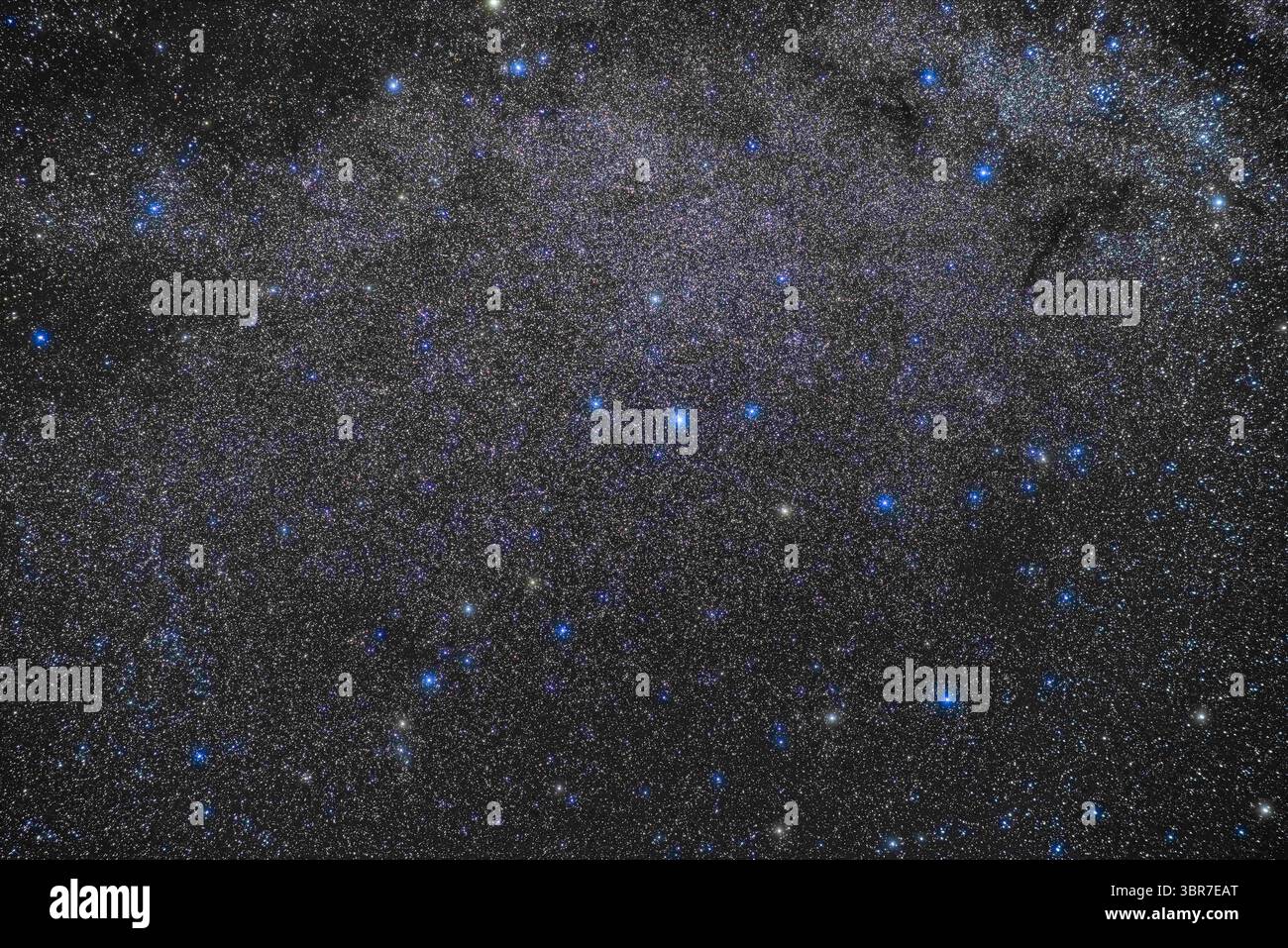 2 août 2019, Comté de Wheatland : la région du ciel d'été juste à côté de la voie Lactée contenant la constellation inoculeuse de Lacerta le lézard au centre ici, comme une ligne d'étoiles en zig-zag. Le champ contient les grands groupes ouverts NGC 7209 (à droite) et NGC 7243 (juste à droite du centre supérieur). B168 et la nébuleuse de Cocoon sont en haut à droite dans Cygnus. ..il s'agit d'une pile d'expositions de 6 x 3 minutes avec l'objectif Rokinon 85mm à f/2,8 et Canon 6D MkII à ISO 800, sur le tracker Sky-Watcher Star Adverturer. Une exposition supplémentaire prise à travers un filtre Kenko Softon A ajoute la lueur de l'étoile. Prise sur un Banque D'Images