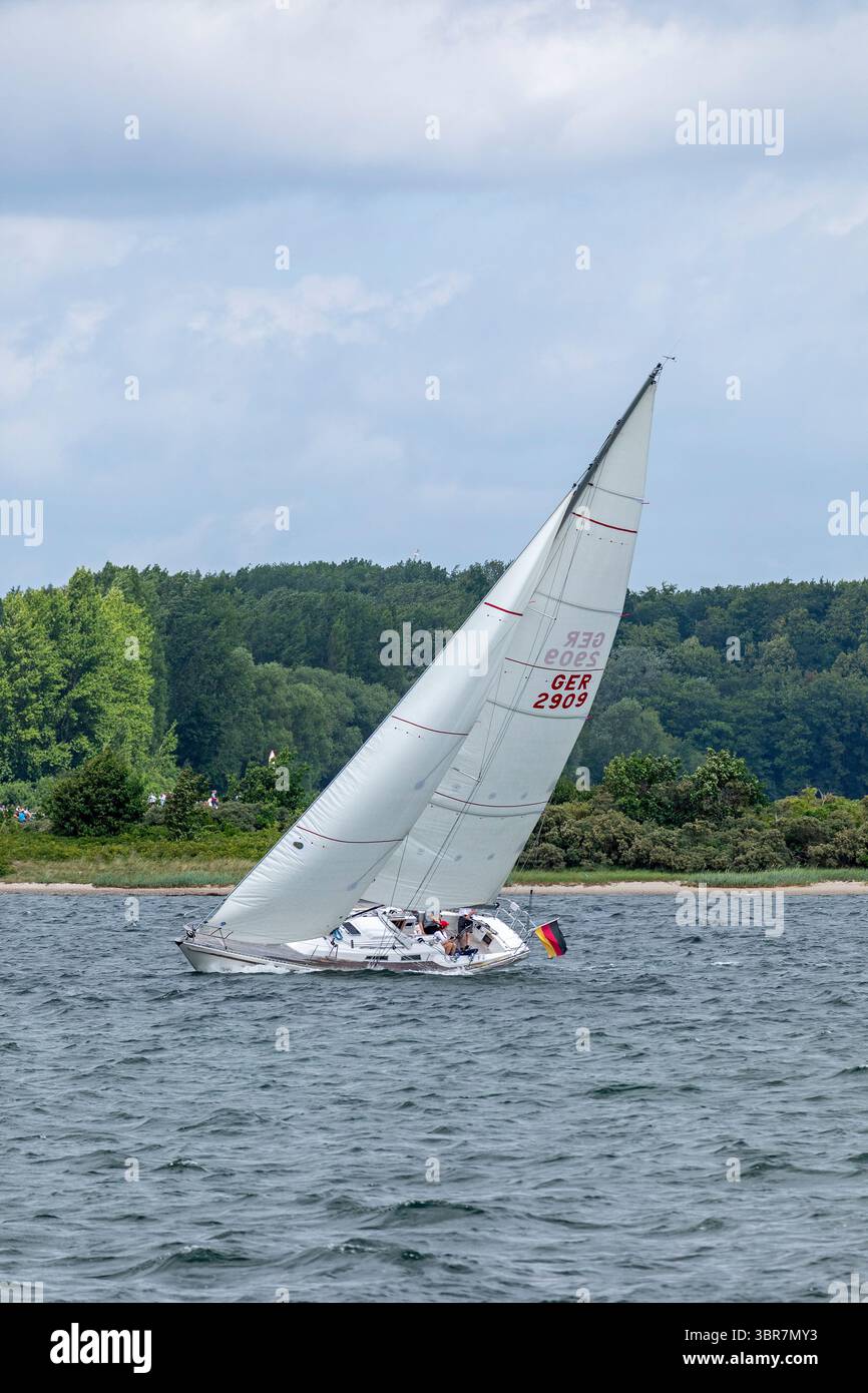 Bateau à voile, Kiel week, Kiel Fjord, Kiel, Schleswig-Holstein, Allemagne Banque D'Images