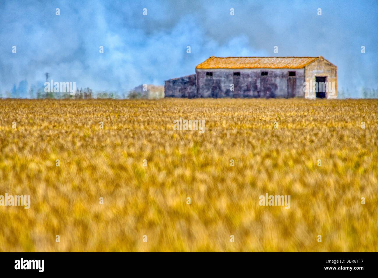 5 octobre 2019, Isla Mayor, Provincia de Sevilla, EspaÃ±a : brûlure de chaumes dans les rizières, Isla Mayor, Séville, Espagne (crédit image : © Felipe Rodriguez/VW pics via ZUMA Wire) Banque D'Images