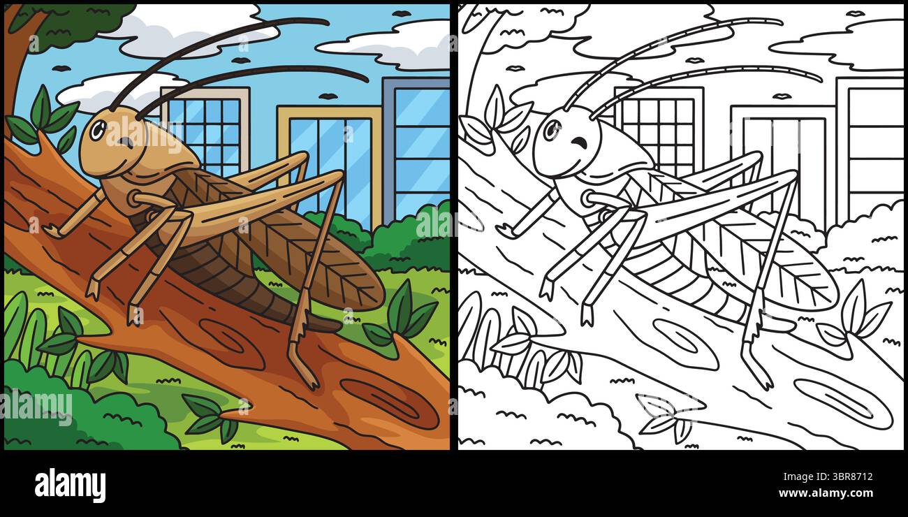 Dessin animé coloré animal de cricket d'insecte Illustration de Vecteur