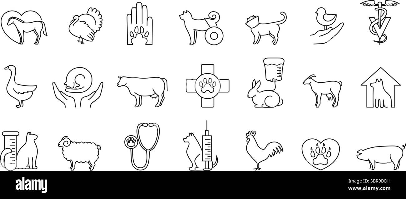 Icônes vétérinaires linéaires. Soins aux animaux et hôpital, services de santé pour animaux de compagnie en ligne continue, stéthoscope avec patte et clinique vétérinaire vecteur isolé Illustration de Vecteur