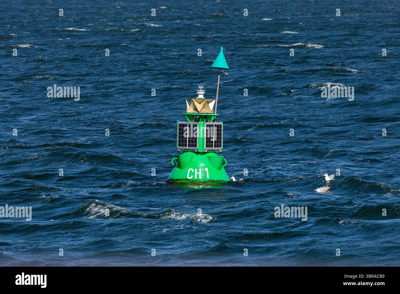 Bouée verte, River Warnow, Warnemünde, Rostock, Mecklembourg-Poméranie occidentale, Allemagne Banque D'Images