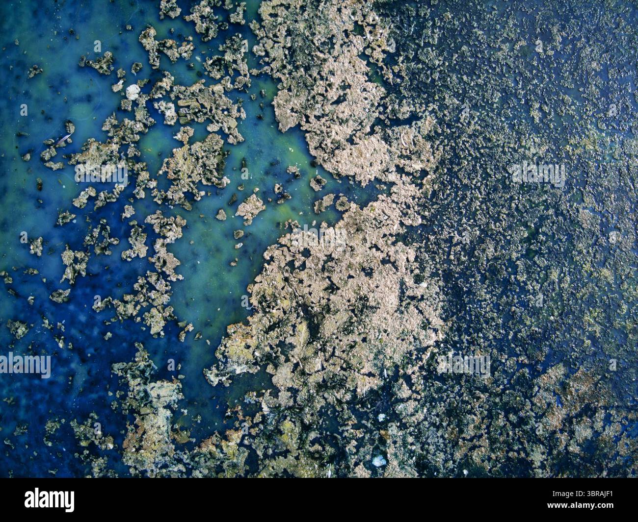 Vue aérienne du contraste frappant entre le fond marin sombre et texturé et les eaux turquoises au-dessus, Kalochori, Thessalonique, Grèce. Banque D'Images