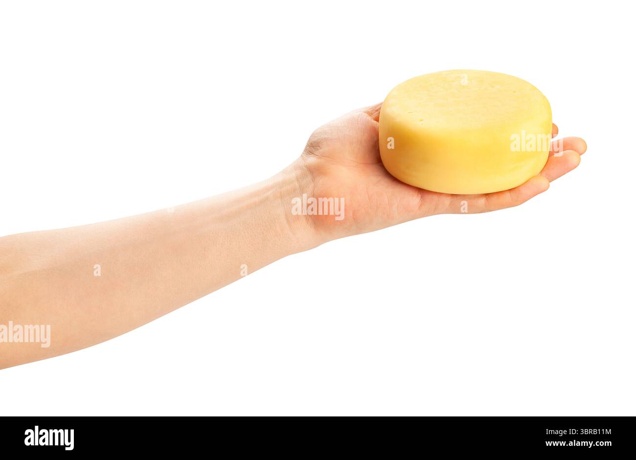 roue de fromage dans le chemin de la main isolé sur blanc Banque D'Images