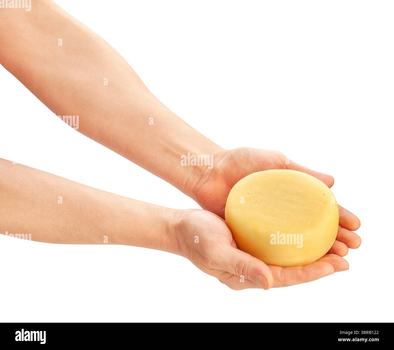 roue de fromage dans le chemin de la main isolé sur blanc Banque D'Images