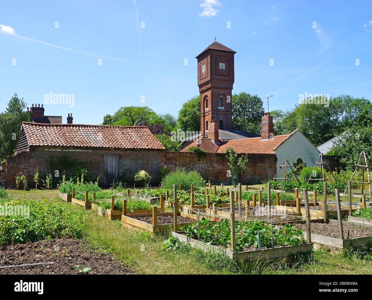 Château d'eau et lits de légumes surélevés dans le jardin clos au Gardens of Easton Lodge Banque D'Images