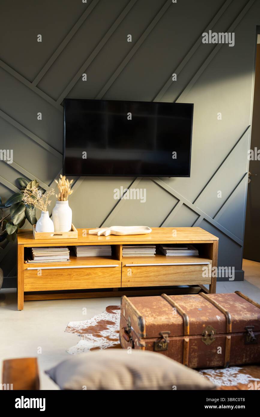 Téléviseur à écran plat accroché à un mur gris foncé dans le coin salon, présentant des vases avec des herbes séchées Banque D'Images