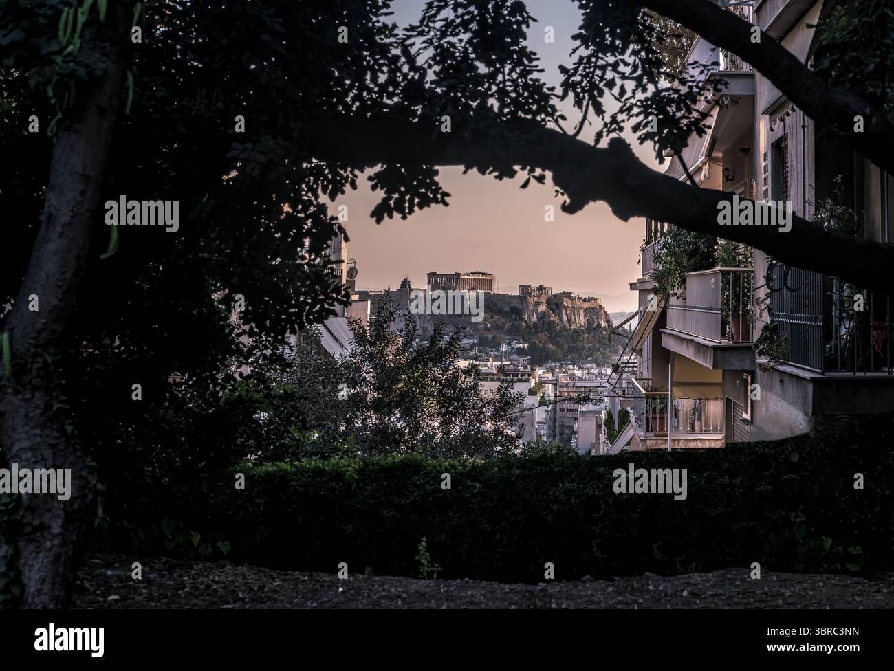 Athens Layers : vue sur l'Acropole à travers les arbres et les bâtiments Banque D'Images