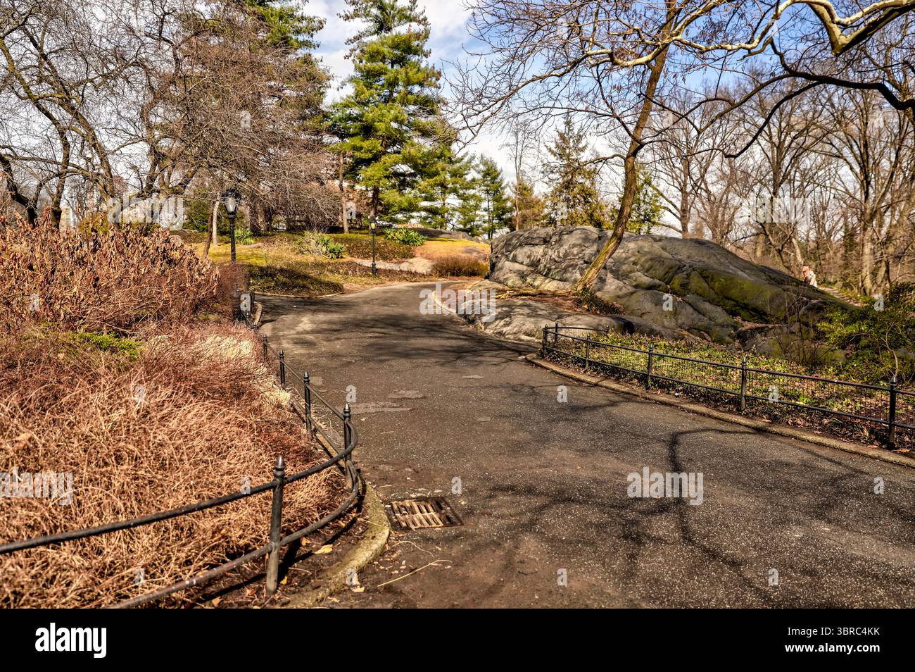 New York, New York - 17 février 2022 : sentiers et bancs de parc à Central Park NYC Banque D'Images