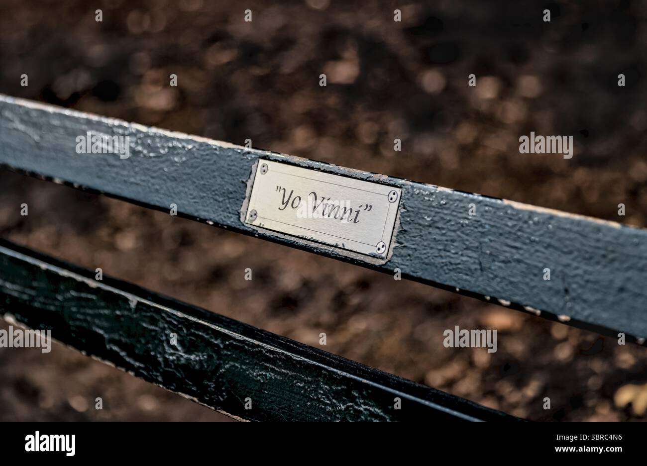 New York, New York - 17 février 2022 : sentiers et bancs de parc à Central Park NYC Banque D'Images