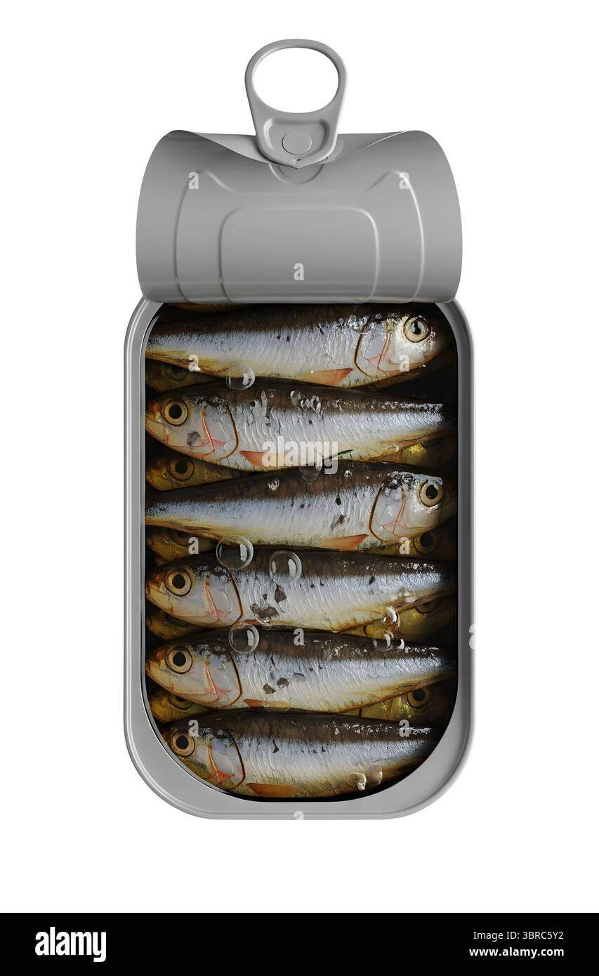 Boîte ouverte de sardines rendu 3D minimaliste dans un rendu doux et lisse Banque D'Images