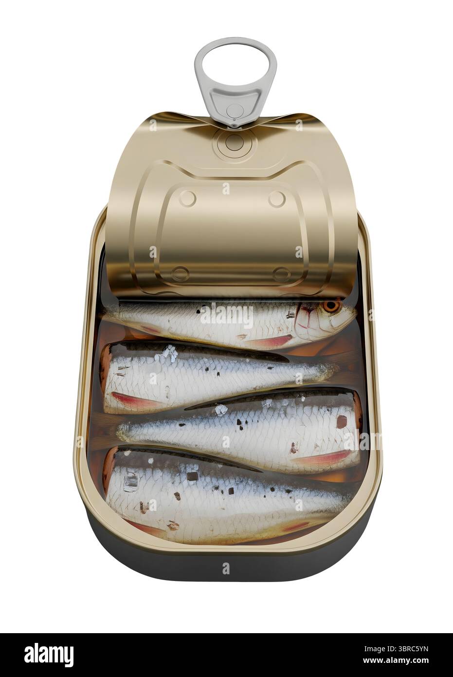 Boîte ouverte de sardines rendu 3D minimaliste dans un rendu doux et lisse Banque D'Images