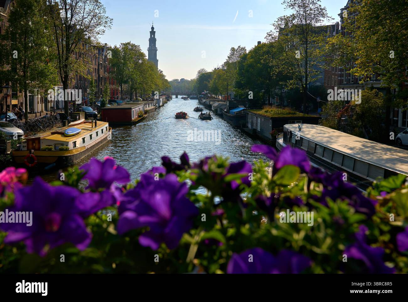 Fleurs sur un pont du canal Prinsenstraat Amsterdam. Fleurs sur un pont sur le canal Prinsenstraat avec la tour de l'église Westerkerk en arrière-plan Banque D'Images