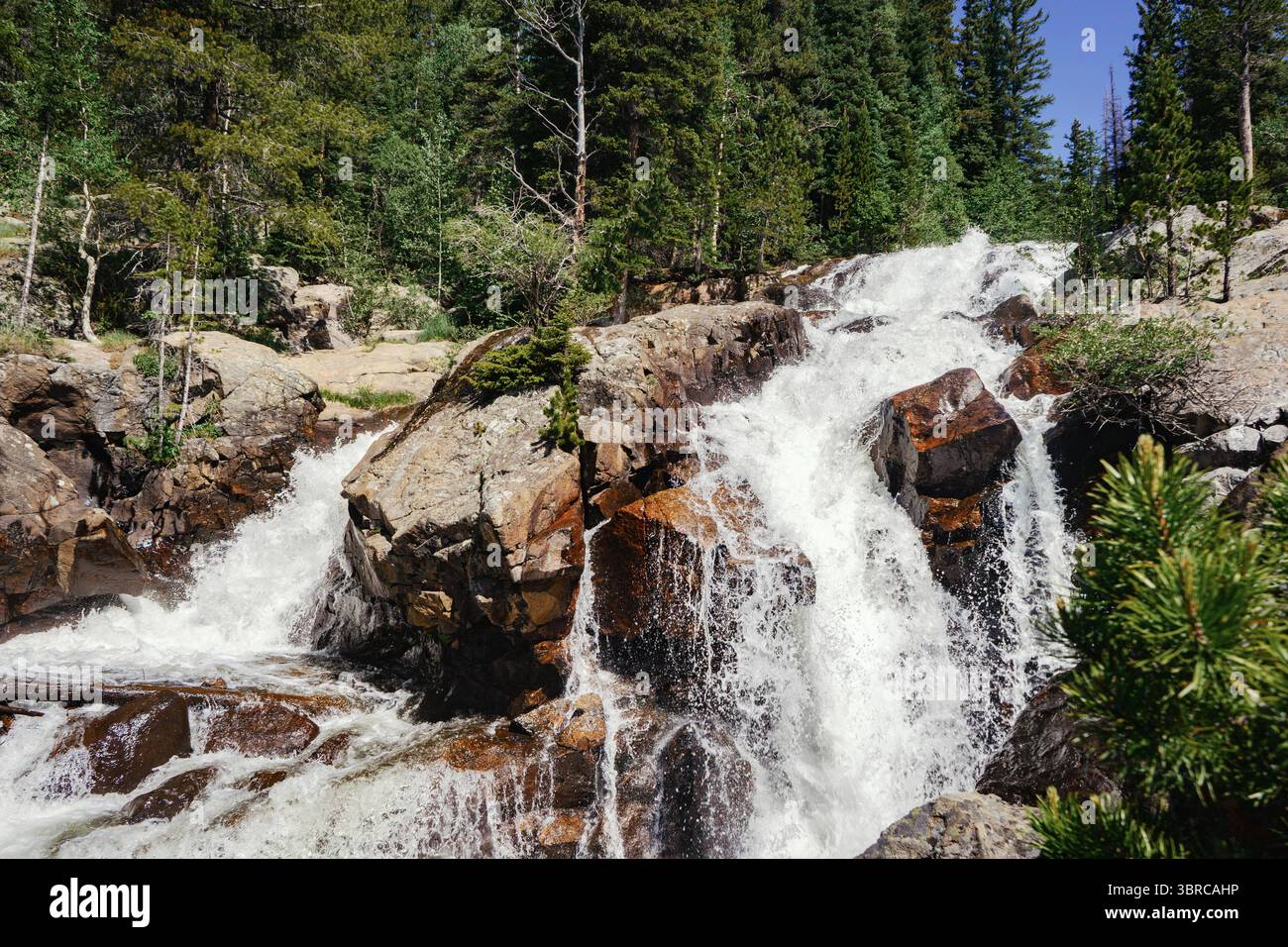 Une cascade à plusieurs niveaux déborde de rochers sombres dans l'arrière-pays du Colorado. Entourée de pins denses, cette scène de Hessie Trail est magnifique. Banque D'Images