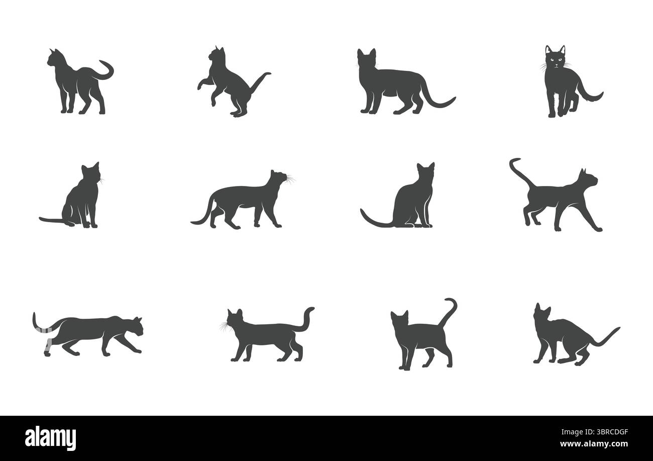 Chat Bengal svg, silhouette de chat Bengal, vecteur de chat Bengal, clipart de chat Bengal, silhouette de chat, vecteur Cat. Illustration de Vecteur