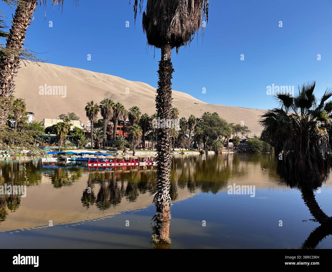 Lagon Huacachina entouré de dunes de sable désert, le tout reflété dans le lac, ICA, Pérou, Amérique du Sud. Destination de voyage célèbre oasis, Atacama deser Banque D'Images