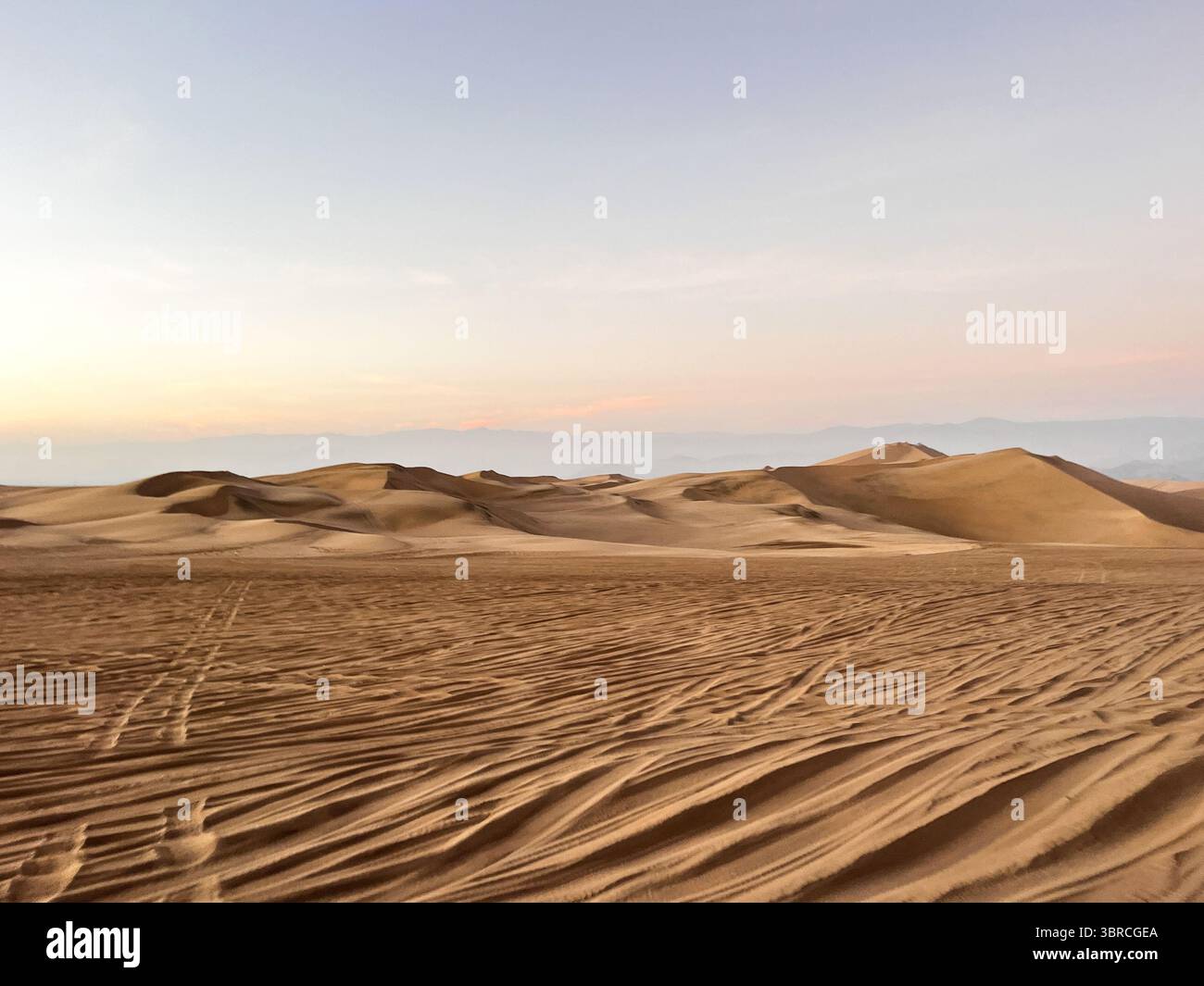 Photo du désert à l'heure du coucher du soleil au lever du soleil avec dune en arrière-plan et des traces de pneus buggy dans le sable. Excursions en buggy comme une attraction touristique. Banque D'Images