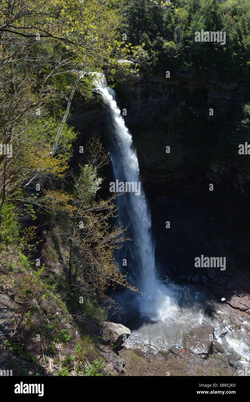 Kaaterskill Falls Catskill Mountains Hunter New York Banque D'Images