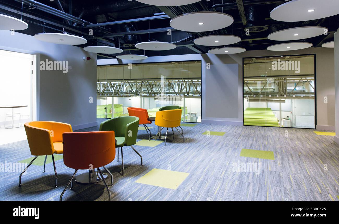 L'illustration vectorielle montre un salon de bureau avec des chaises colorées, des tables rondes, des panneaux acoustiques Banque D'Images