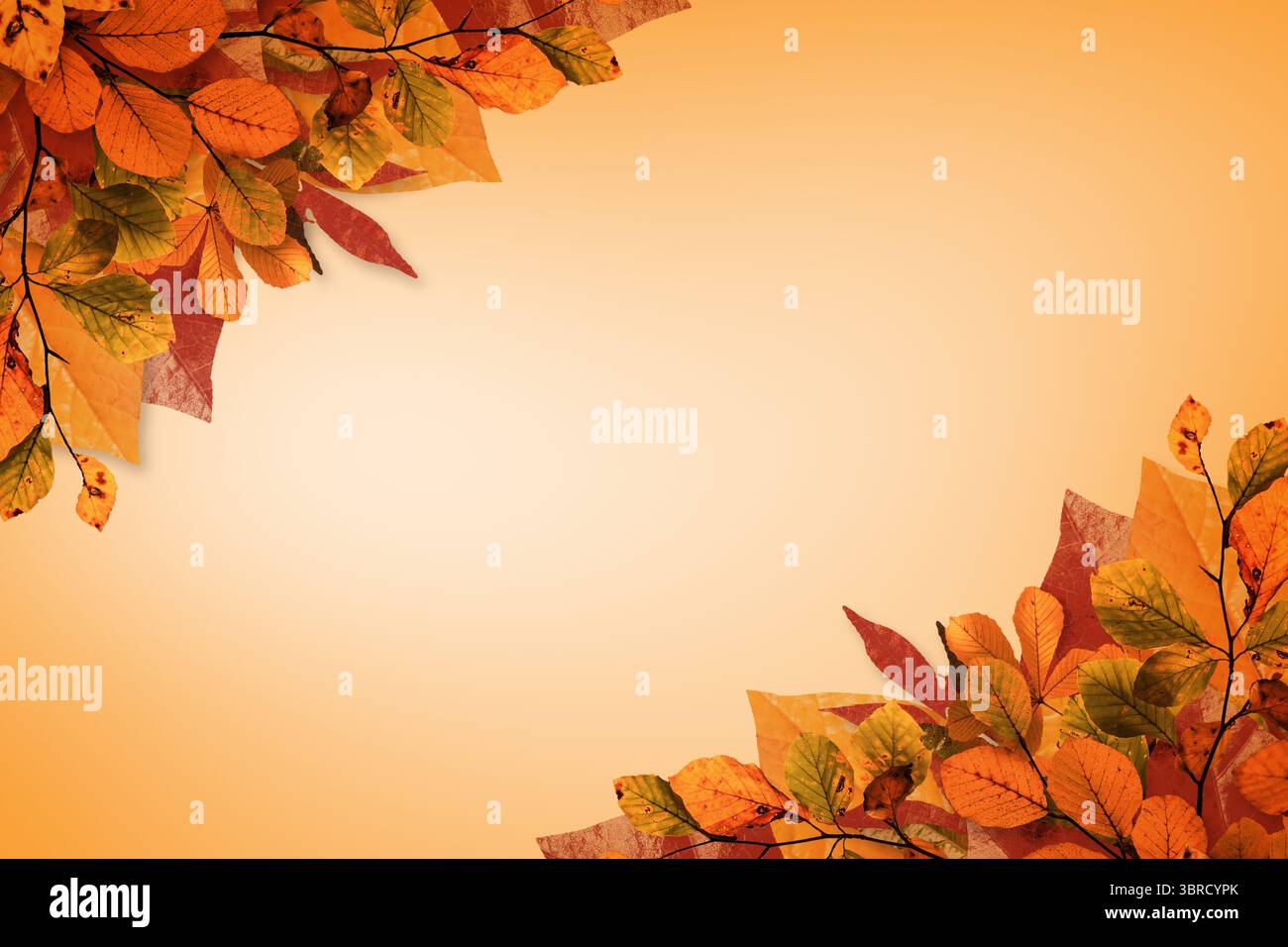 Les grappes de feuilles d'automne encadrent un design plat avec des veines et des branches sur un dégradé orange, un espace de copie Banque D'Images Les grappes de feuilles d'automne encadrent un design plat avec des veines et des branches sur un dégradé orange, un espace de copie Banque D'Images