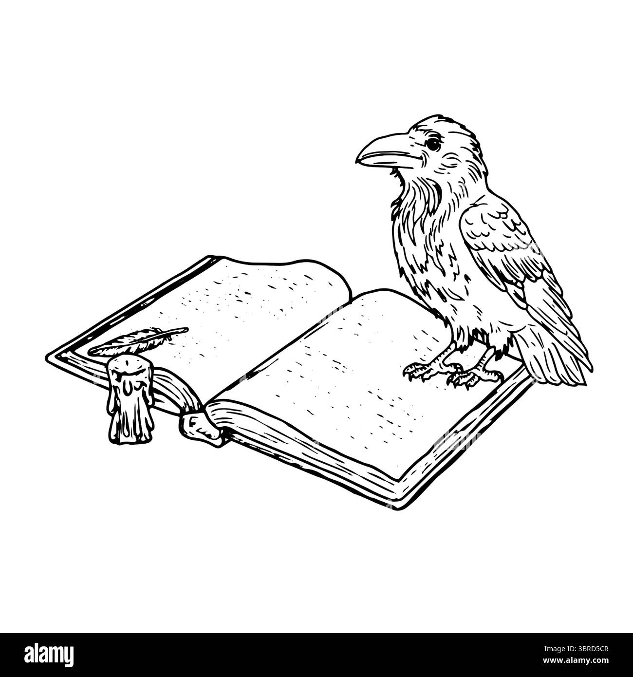 Raven est assis sur le livre ouvert, à côté de la bougie à gouttière et plume d'oiseau sur la page, croquis noir et blanc. Illustration vectorielle. Un Halloween mystique Illustration de Vecteur