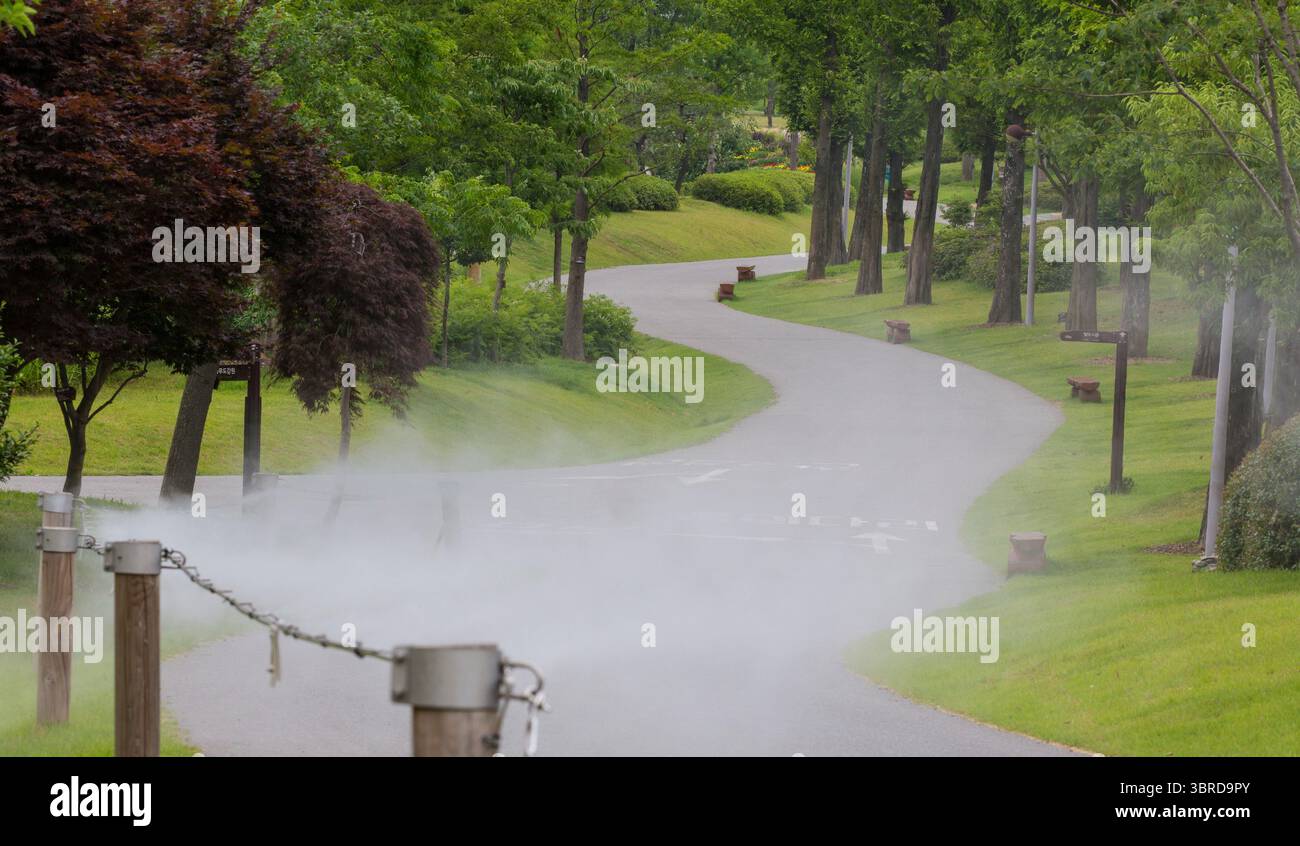 Une promenade tranquille dans le parc à Suncheon National Garden Expo. Banque D'Images