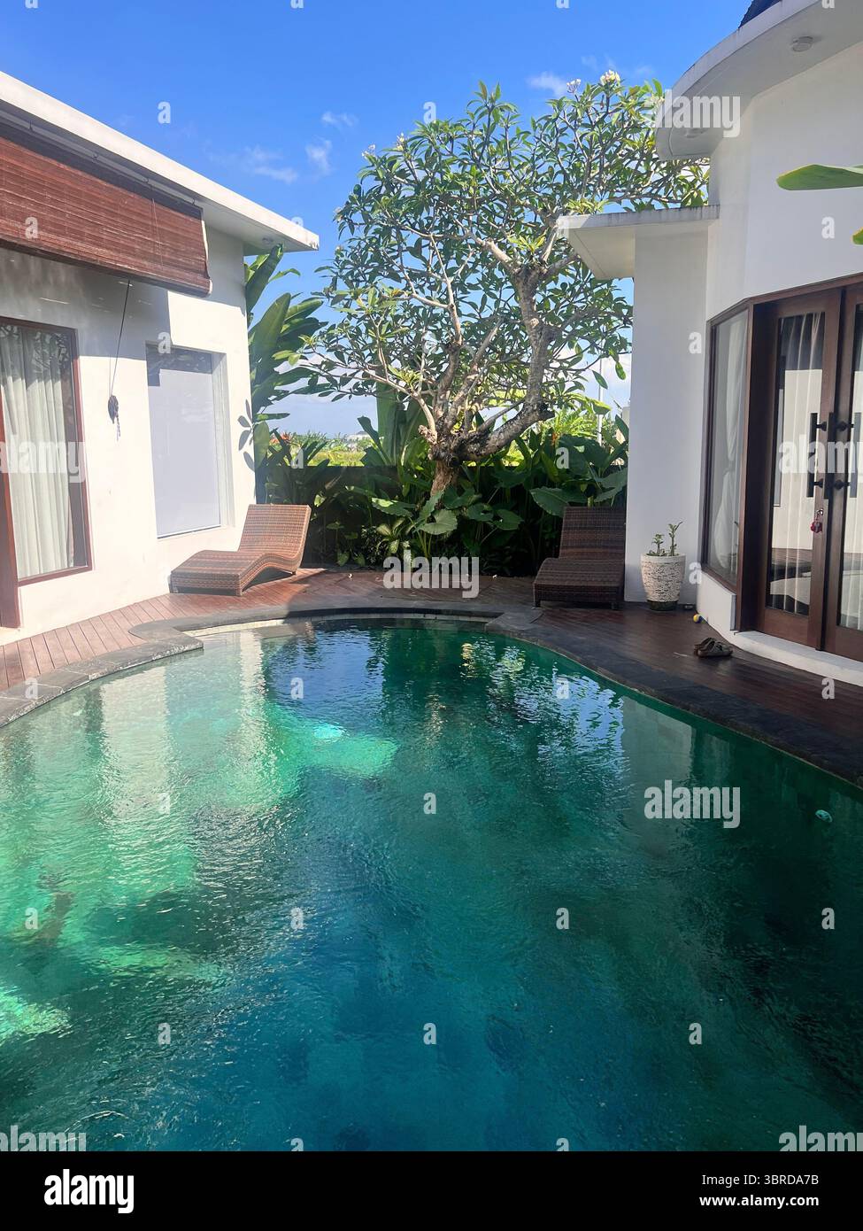 Néons, mouvement sans fin, et le pouls incomparable de Ho Chi Minh ville après la tombée de la nuit - Image de stock capturée avec un smartphone