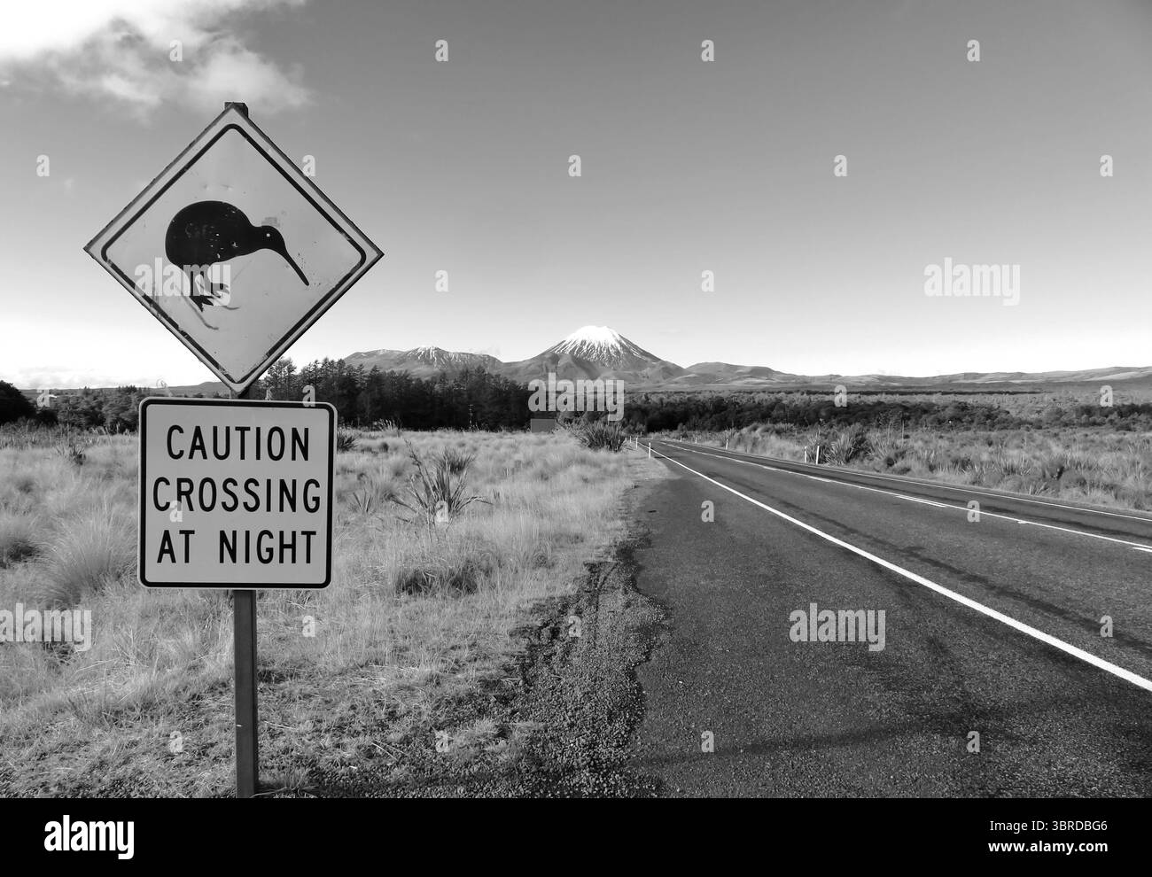 Panneau de croisement Kiwi à l'entrée du parc national de Tongariro, au centre de l'île du Nord, Nouvelle-Zélande, avec un paysage volcanique en arrière-plan. Banque D'Images