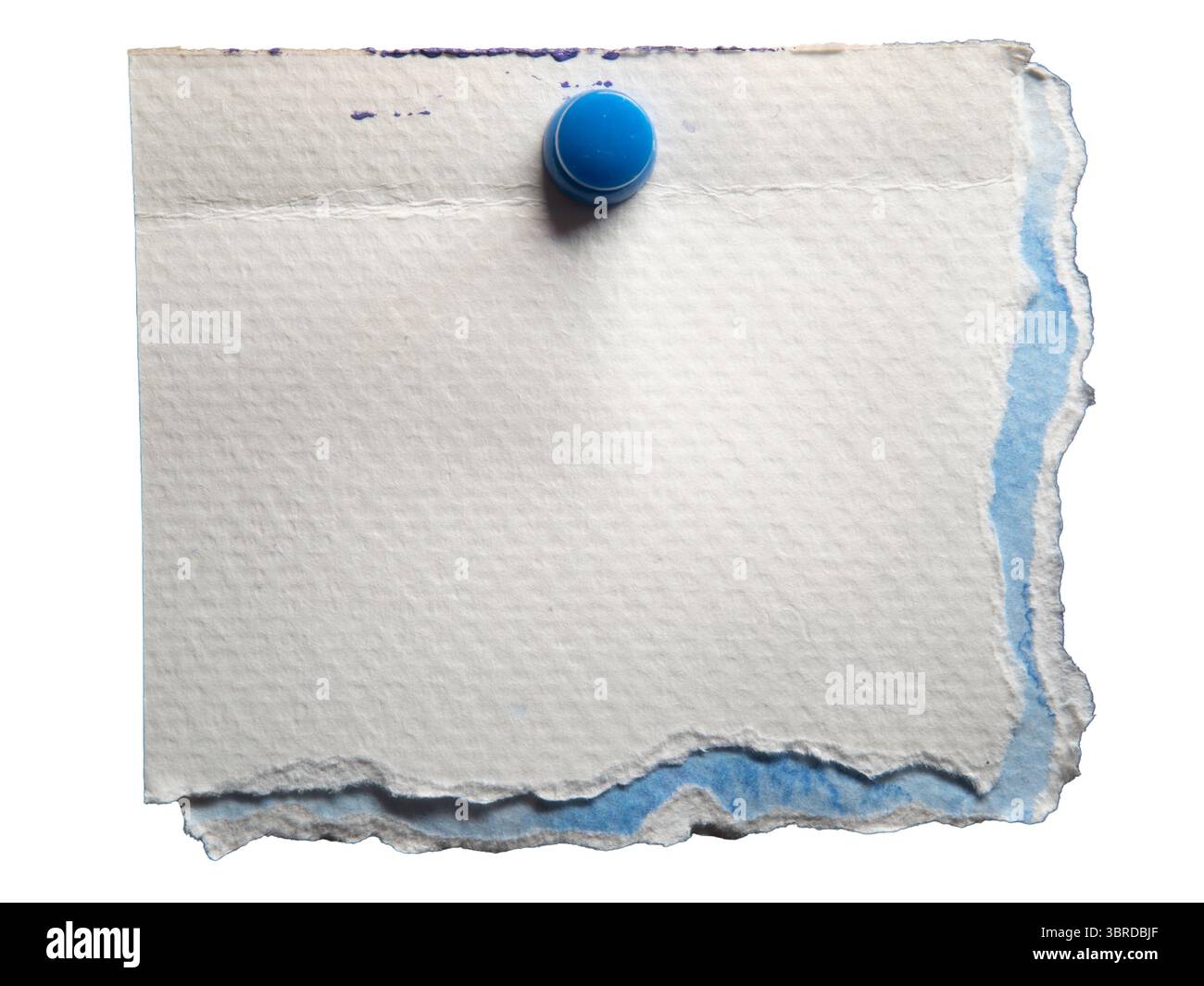 Papier aquarelle blanc et bleu avec punaise sur fond blanc avec chemin de détourage. Vieux papier réutilisé comme mémo. Banque D'Images