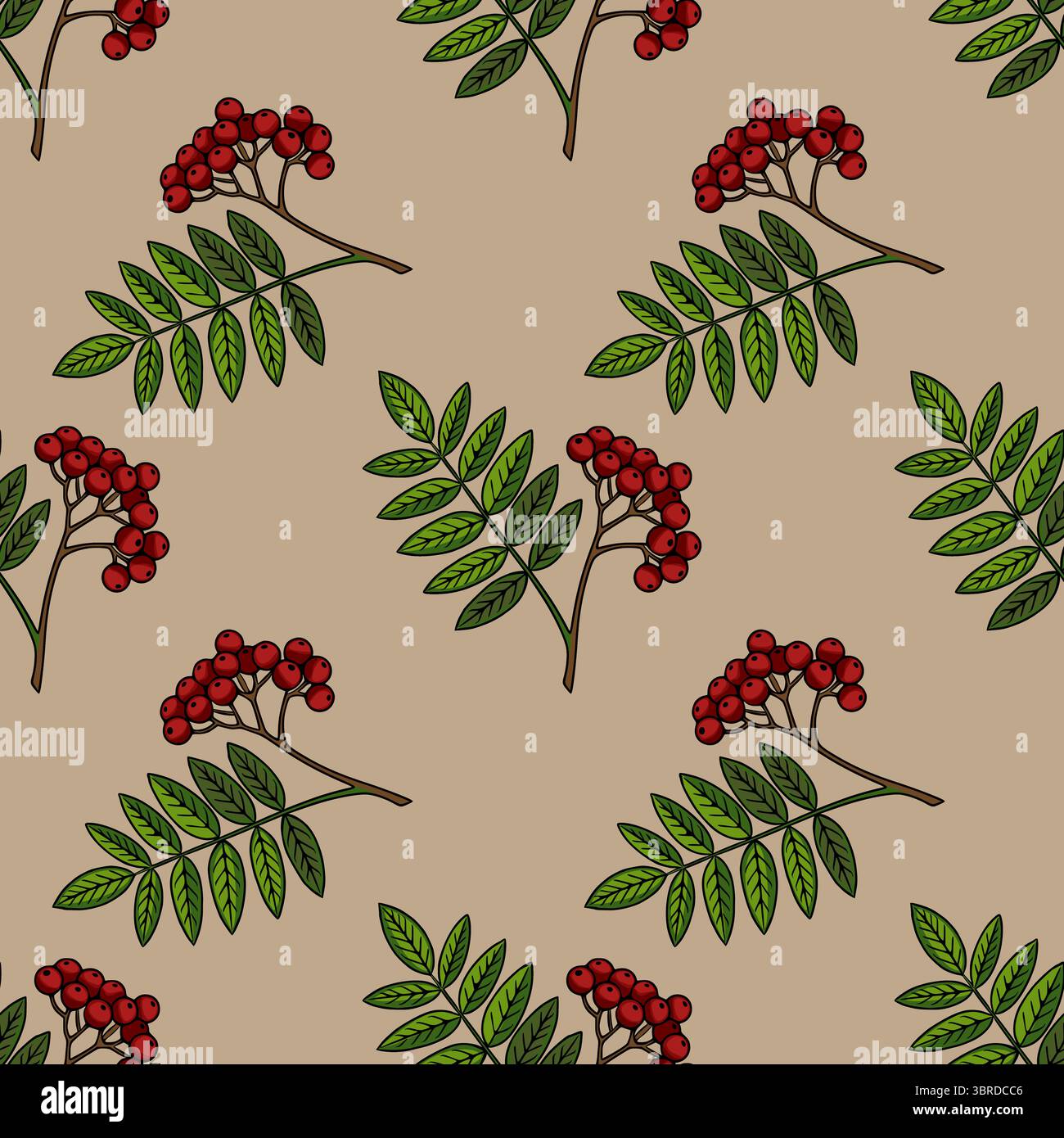 Motif vectoriel sans couture de branches de rowan avec des baies rouges et des feuilles vertes sur un fond beige, idéal pour les dessins automnaux et les impressions textiles. Illustration de Vecteur