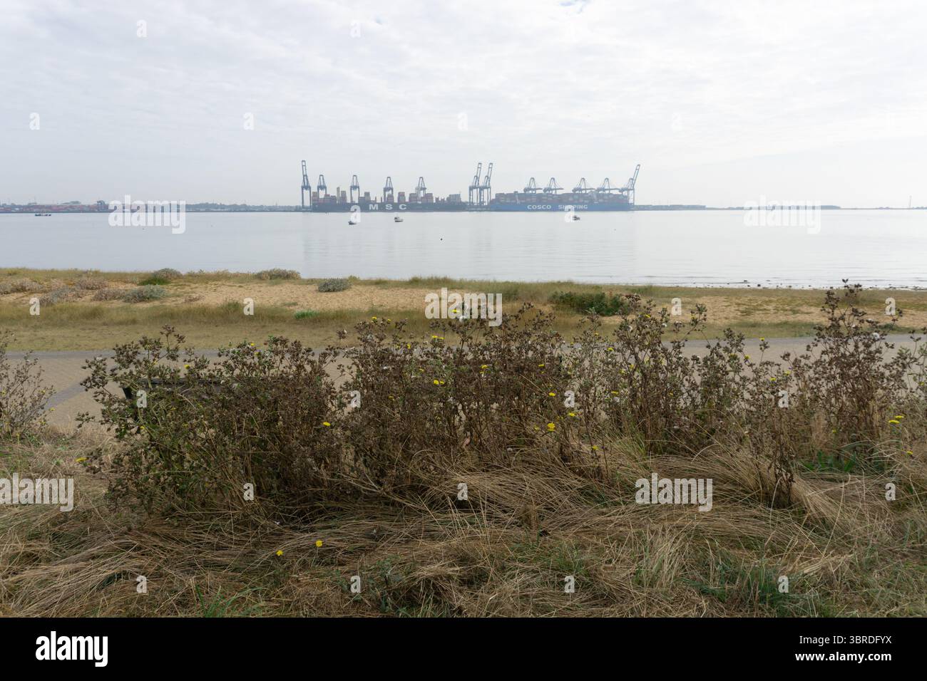 Port de Harwich, Royaume-Uni. Banque D'Images